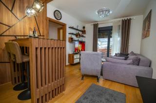 Apartman S12 Vila Pekovic Green - Zlatibor - 8