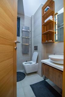 Apartman S12 Vila Pekovic Green - Zlatibor - 1