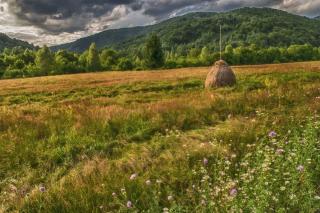 Aleu - Apuseni Mountains - Pietroasa - 4