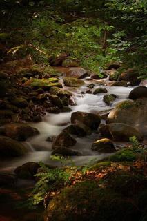 Aleu - Apuseni Mountains - 1