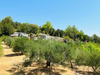 Apartmani Anita - Skradin - 5