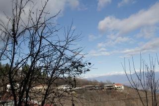 budabu - Sighnaghi - 5
