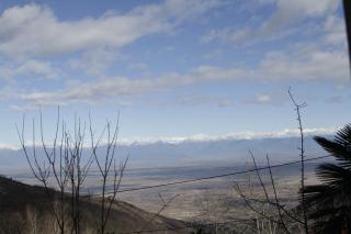 budabu - Sighnaghi - 2