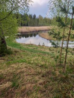 Aatami - Kangasniemi - 5