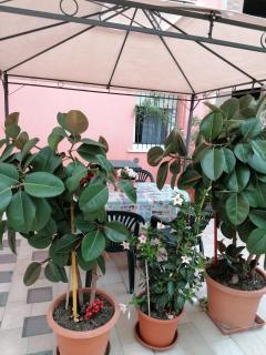 IN CENTRO - Porto SantʼElpidio - 2