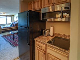 Tamarron Lodge Studio 305 - 1