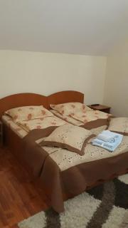 Casa Bia - Vatra Dornei - 6