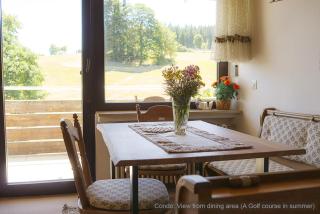 71 square meters Condo in Schwarzwald with beautiful mountain view, free wifi - Schönwald - 8