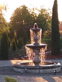 Casale - Forest Grove - 8