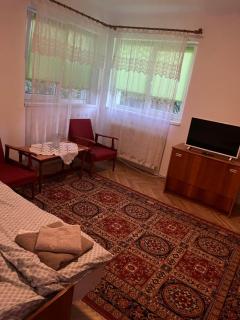 Casa Maria - Cluj-Napoca - 9
