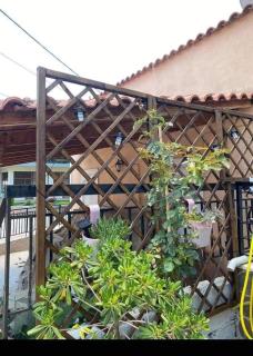 Sady's House - Yimnón - 7