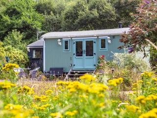 The Shepherd's Hut - Aberdyfi - 0