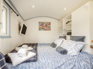 The Shepherd's Hut - Aberdyfi - 1