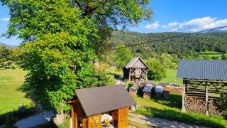 Apartma Dalija Bohinj - 9