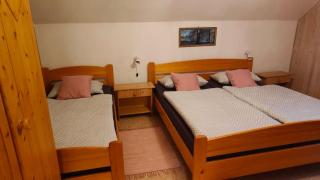 Apartma Dalija Bohinj - Bohinj - 7