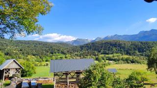 Apartma Dalija Bohinj - 1