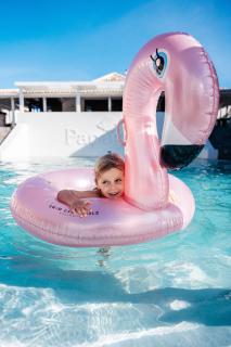 Papagayo Beach Resort - Willemstad - 6