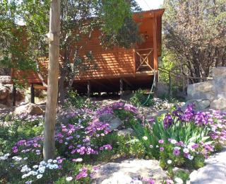 Cabañas Lomas del Manzano - San José de Maipo - 7