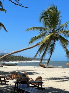 Palm Beach Hostal - Santa Marta - 8