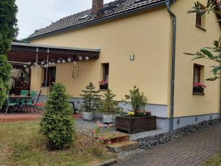 Great holiday home with terrace near Saxon - Hohnstein - 1