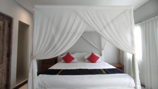 The Radian Villa - Canggu - 1