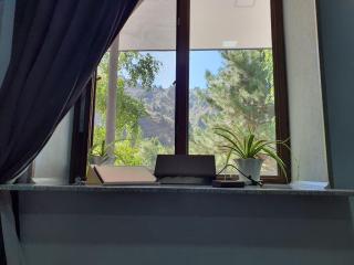 Eagle Rock Nature Stay - Angren - 8