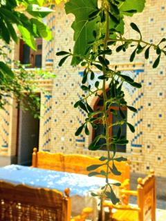 Colibri Traditional Hostel - 4