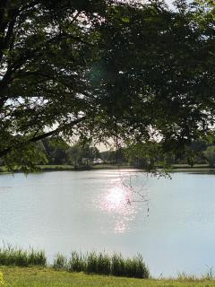 Le gîte de Delphine - 3