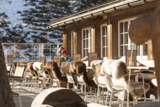 Alpenblick Bergrestaurant & Hotel - Arosa - 8