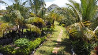 Botanica Eco Lodge - Michamvi - 3