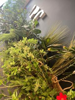 Apartaments Turístics Conseller - Andorra la Vella - 8