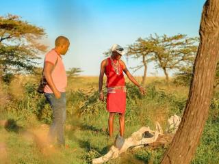 Kandili Camp - 7