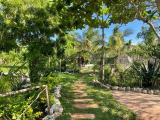 Botanica Eco Lodge - Michamvi - 7