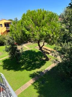 Complesso Oasi - Tirrenia - 9