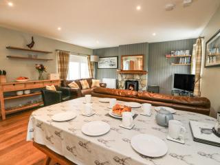 Hazel - Newtonmore - 4