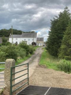 White Side Cottage - Haltwhistle - 9