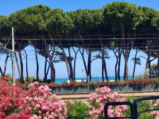 Trilocale Fronte Mare Pineto - Pineto - 1