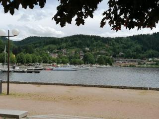 Le Mélèze, petit nid douillet - Gérardmer - 1