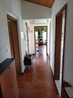 Saleto Apartma - Jagodje - 5