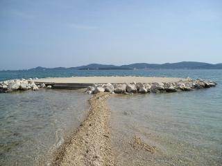 Apartments by the sea Sveti Filip i Jakov, Biograd - 14817 - Sveti Filip i Jakov - 6