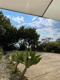 Casa vacanze Piedigrotta - 7
