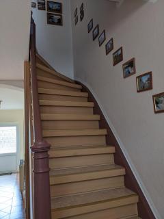 Ferienwohnung in der Altstadt von Coswig Anhalt Gästezimmer - Coswig - 2