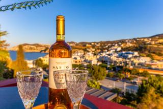 PALM BEACH HOME - Agia Pelagia - 3