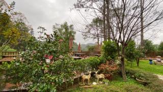 山水屋民宿 - 2