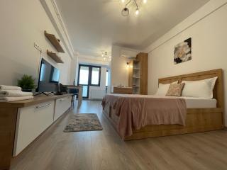 Studio Near Palas Mall - Iaşi - 3