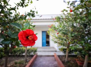 Villa Marzia & Villa Carmela - 0
