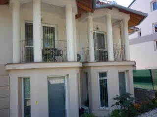 Luxury Villa Heviz - 7