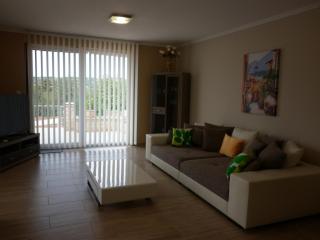 Luxury Villa Heviz - 5