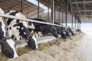 Huis Potaerde, vakantiewoning op boerderij - luxe landhuis nabij Brussel - 1