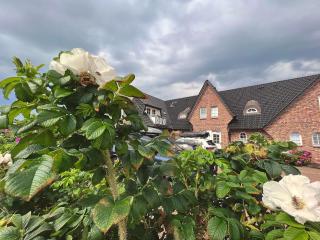 Wellenreiter am Meer - Westerland - 1